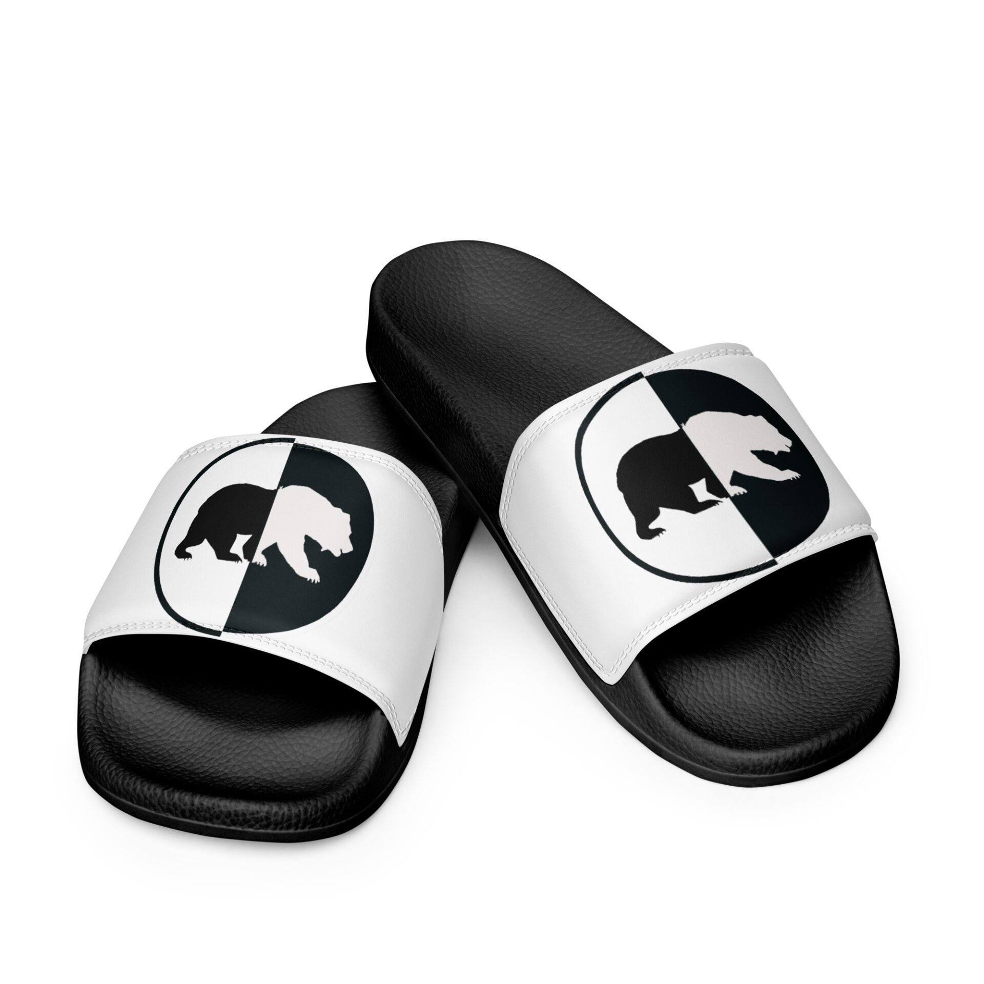 ByPolar Slides
